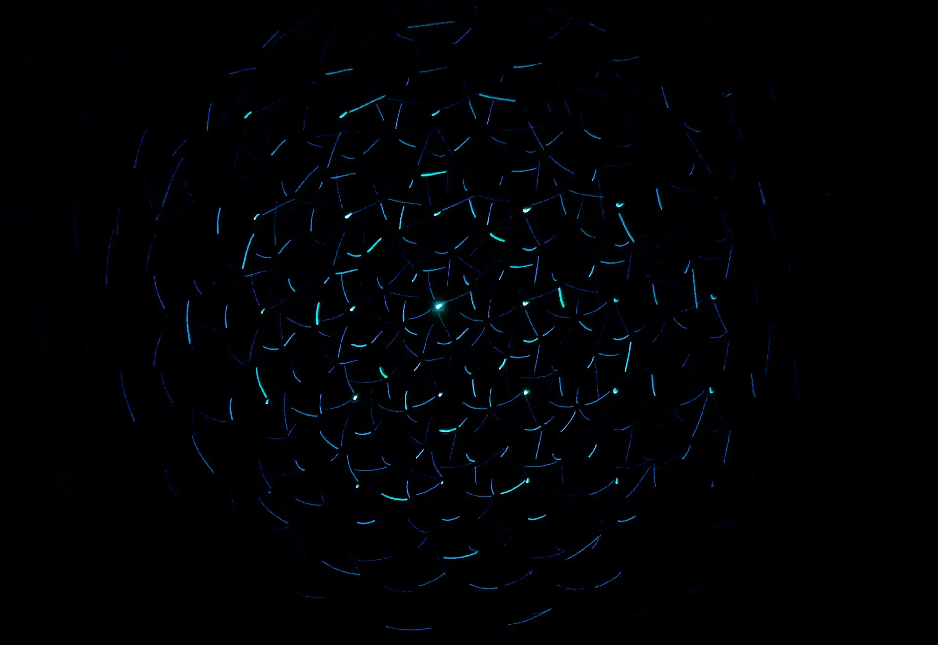 Custom website development for SEO-friendly, fast, and responsive websites